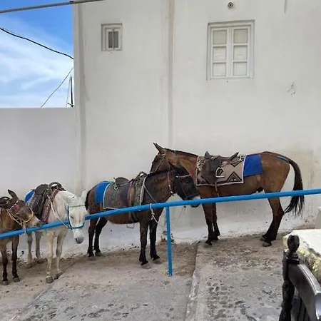 Firaoldport Ormos Firon Village Seavolcanoview 2 Joined Ferienhaus Fira (Santorini)